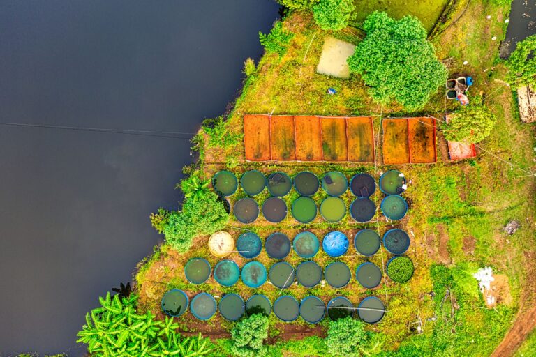 Farm Pond Scheme