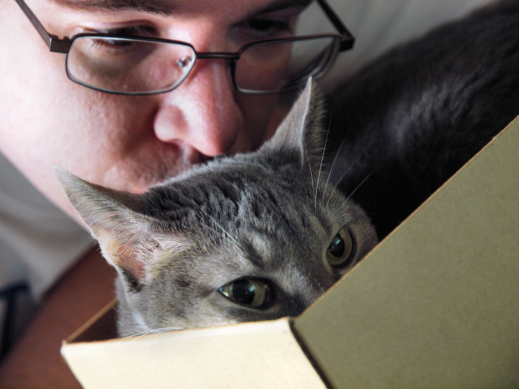limited ingredient cat food