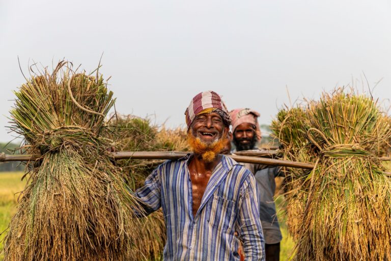support schemes for farmers