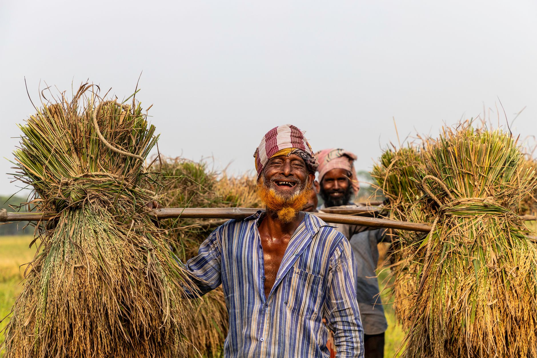 support schemes for farmers