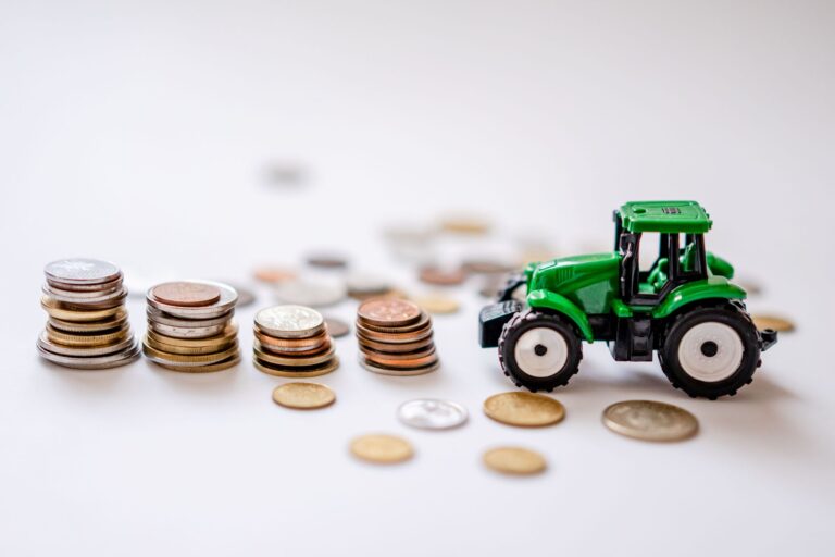 agricultural investment projects