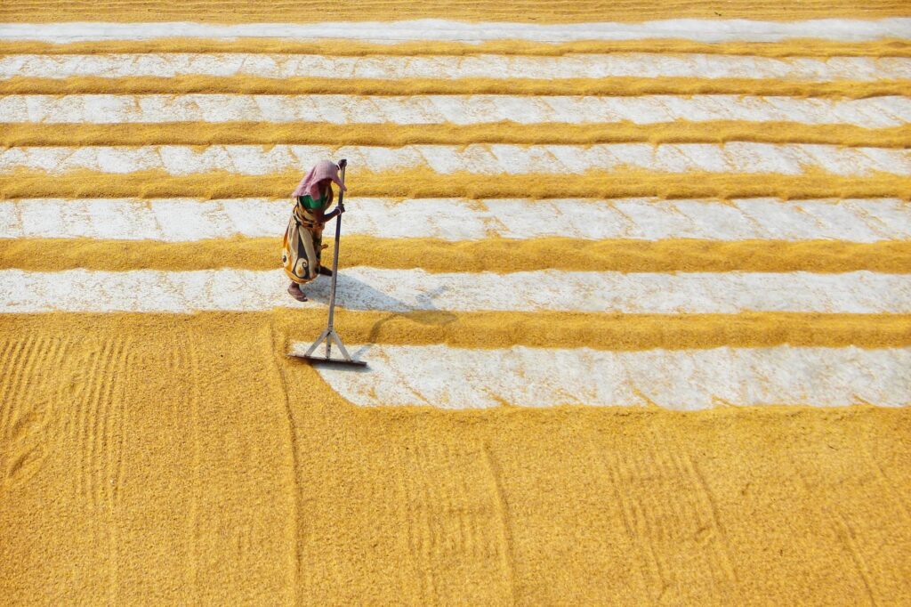 Bihar farmers subsidy