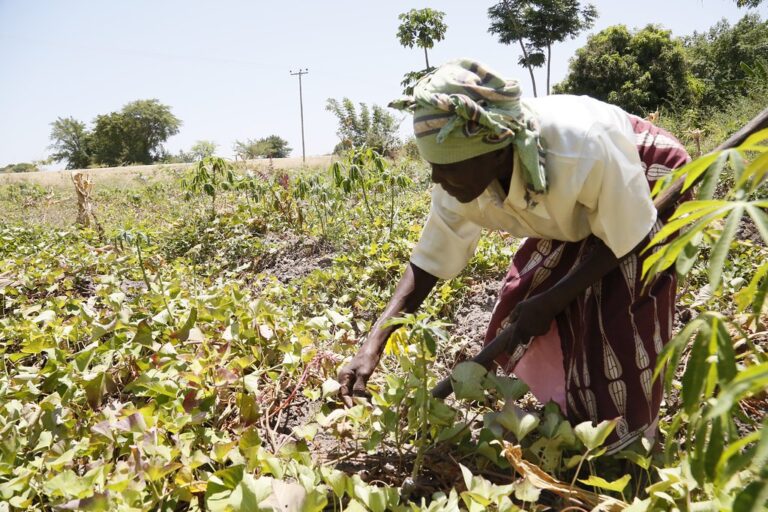 farmers need schemes