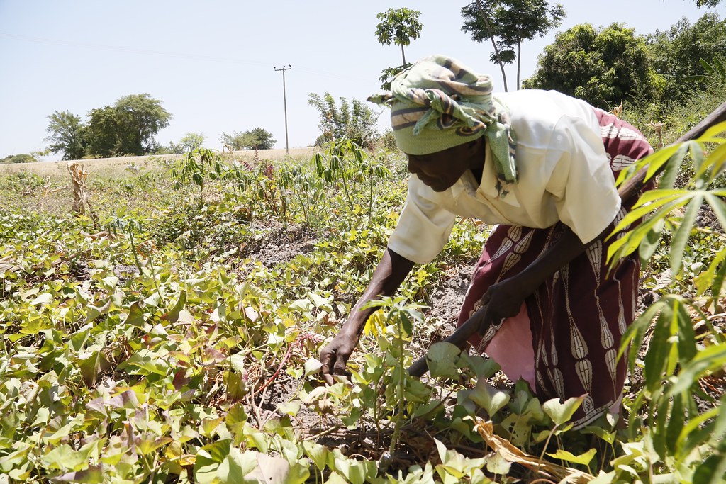 farmers need schemes