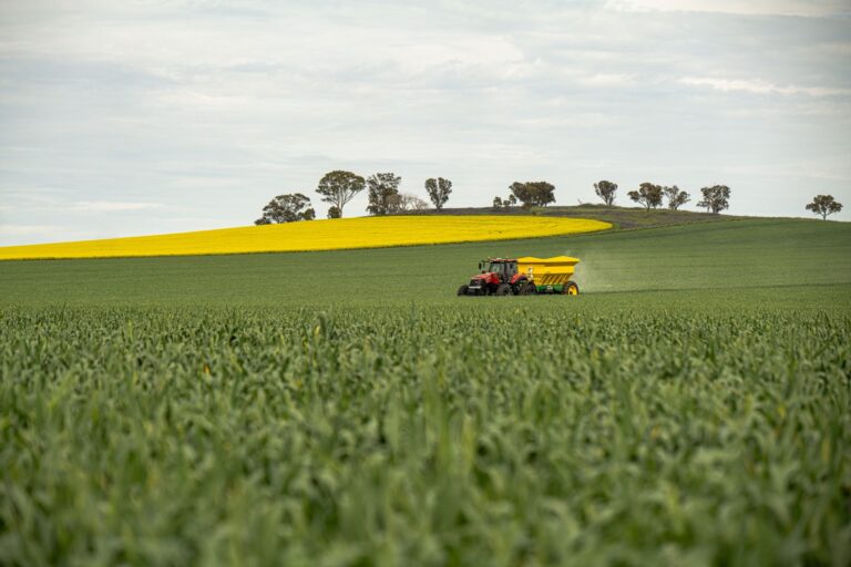 fertiliser subsidy reform