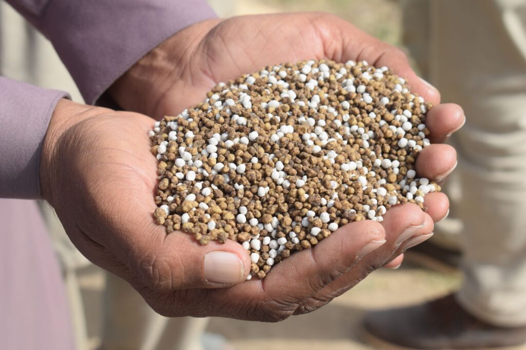 fertilizer subsidy programme