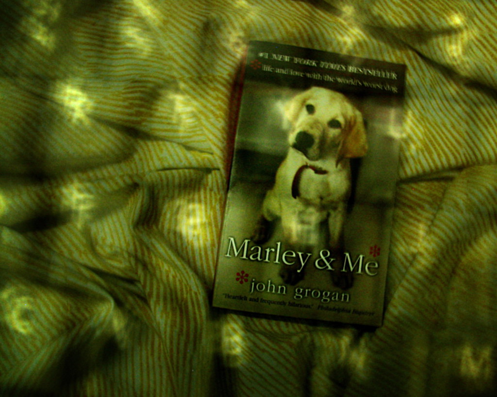 luxury dog range